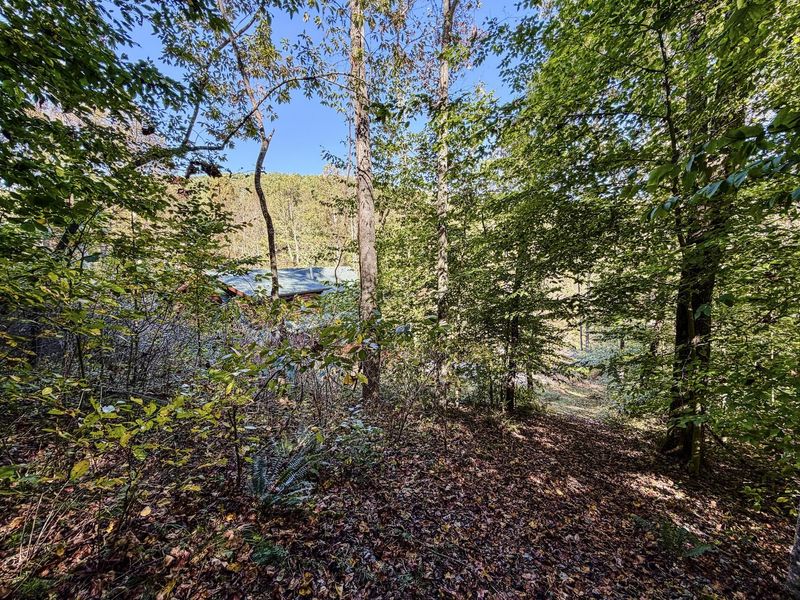 19479 Bogg Road, Laurelville, OH 43135 Photo 72