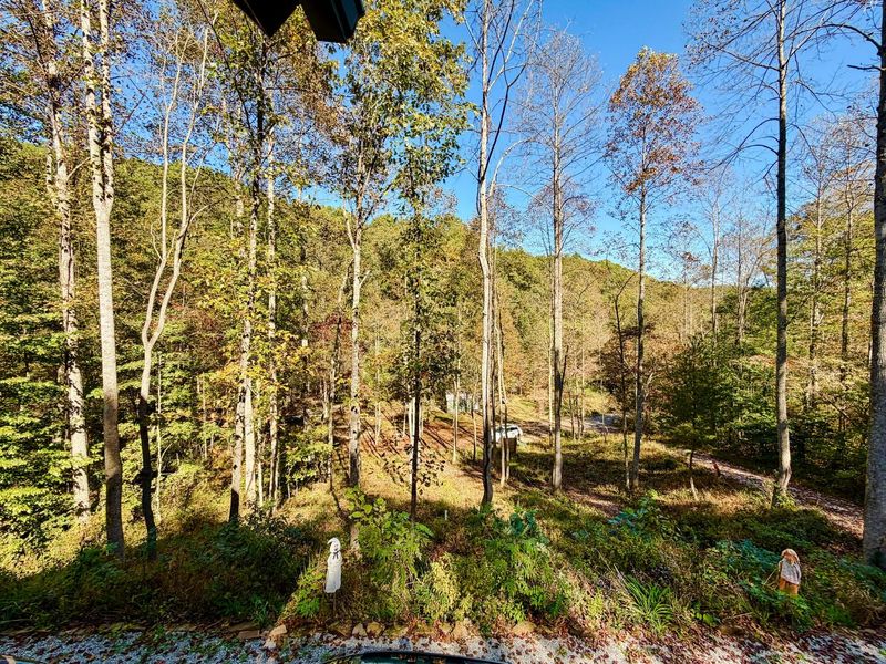 19479 Bogg Road, Laurelville, OH 43135 Photo 73