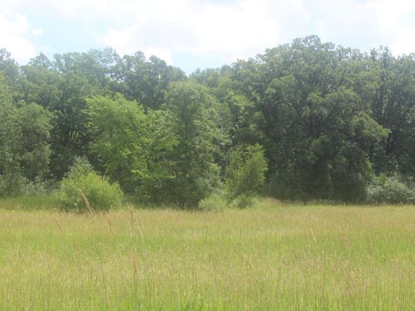 14xxx Green Meadow Road , Milaca, MN 56353
