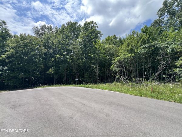 Lot 200 Elzies Way, Grimsley, TN 38565
