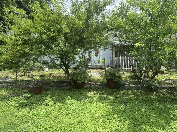 528 Browns Ferry Road, Chattanooga, TN 37419