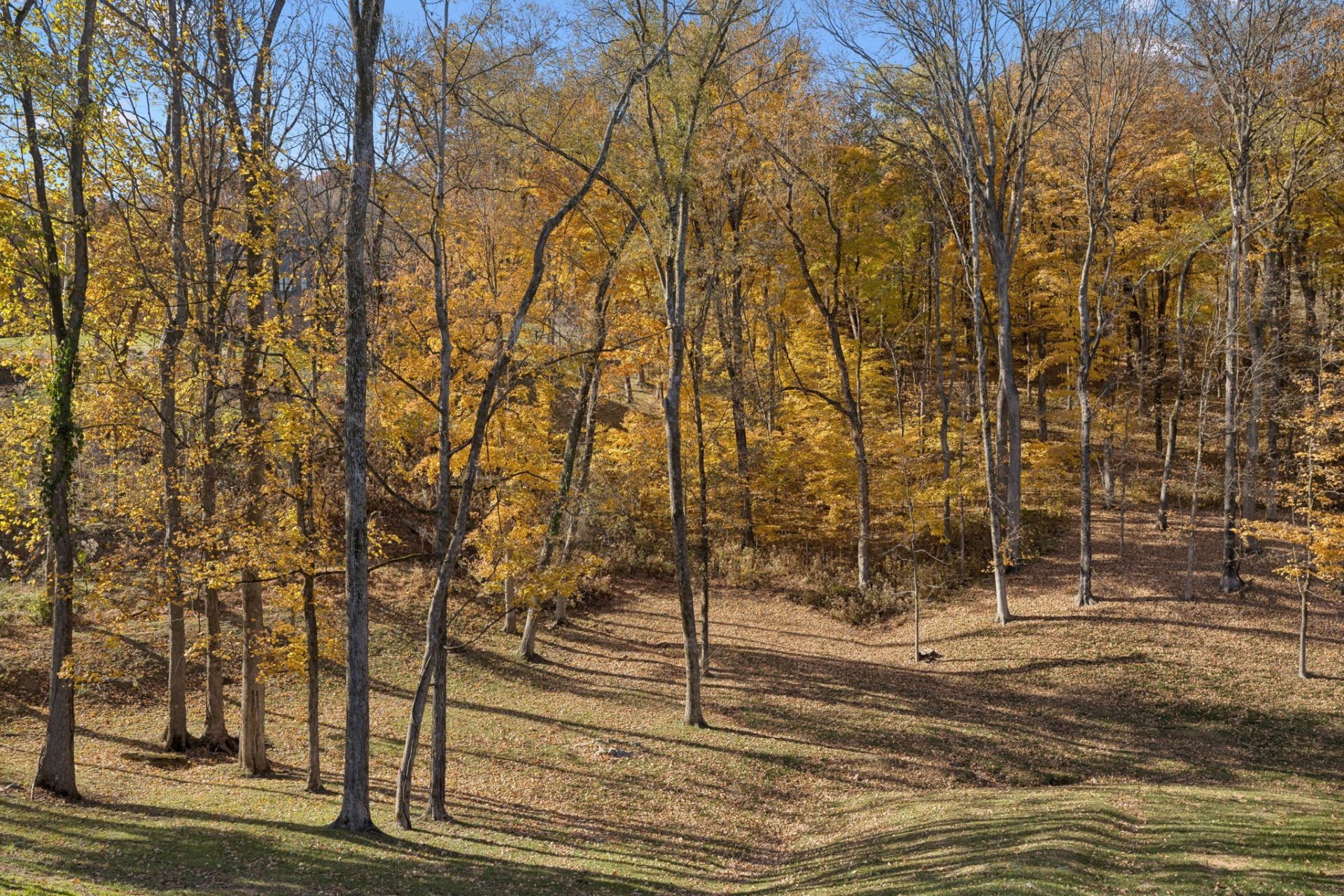 9502 Grand Haven Dr, Brentwood, TN 37027 Main Photo