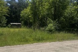 3216 Old Nelson Rd.  photo 4