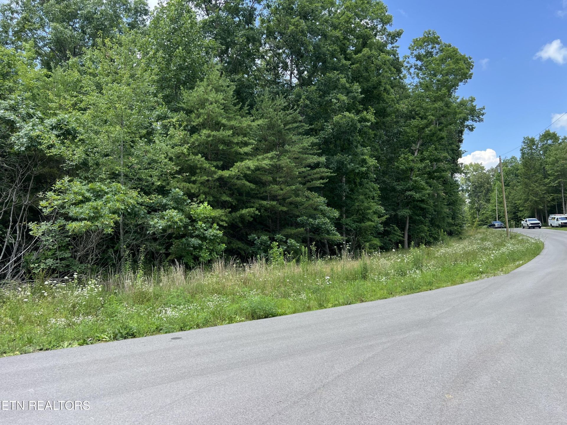Lot 201 Elzies Way, Grimsley, TN 38565 Main Photo