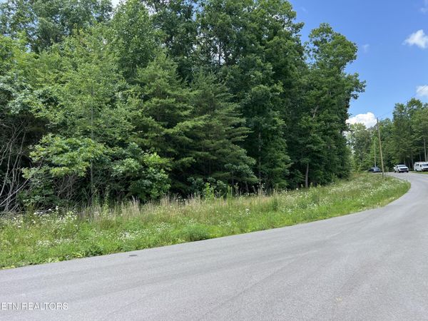 Lot 201 Elzies Way, Grimsley, TN 38565