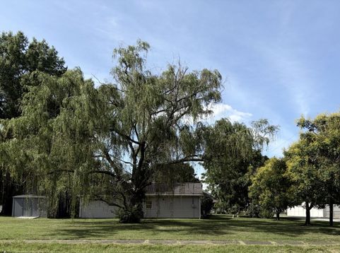 Main Photo