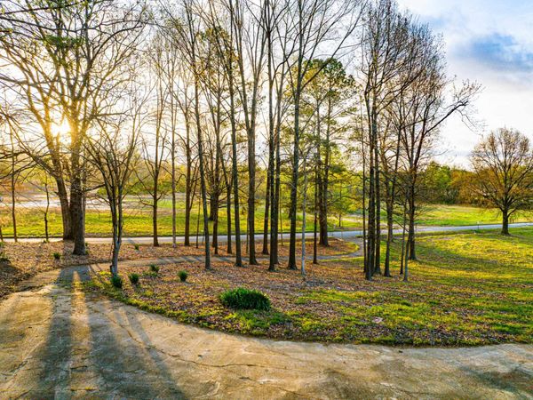 153 HARRISON RD, Martin, TN 38237