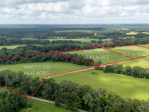 Tract C-4-B Blatt Ln, Ethel, LA 70730
