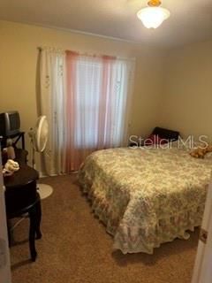 8806 Cypress Hammock Drive , Tampa, FL 33614 Photo