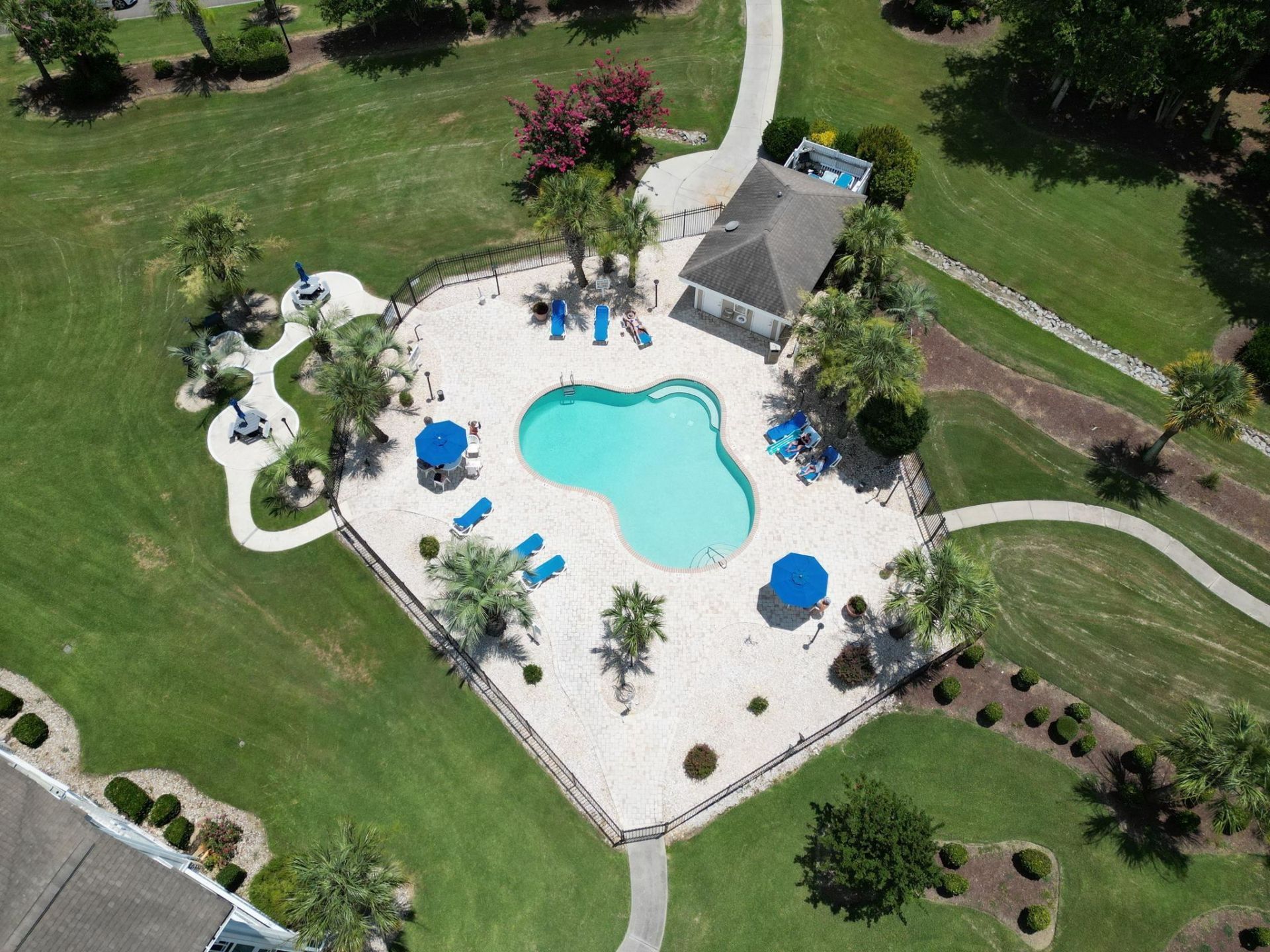 4753 Wild Iris Dr. Photo 25
