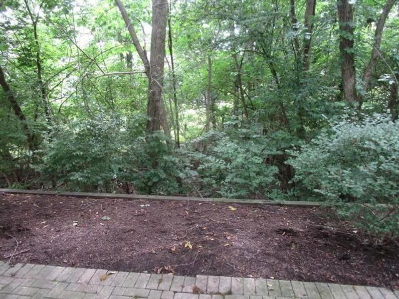 7346 Deer Valley Crossing, Powell, OH 43065 Photo 56
