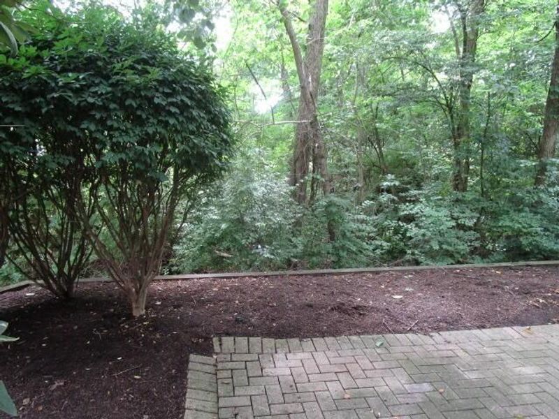 7346 Deer Valley Crossing, Powell, OH 43065 Photo 58