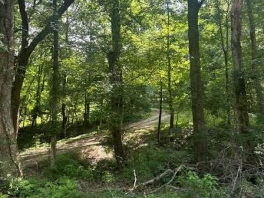 Property Image 29