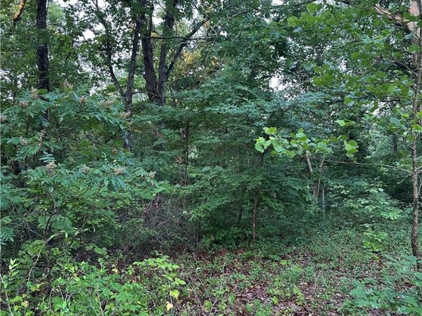 TBD Denver Lane , Bella Vista, AR 72714