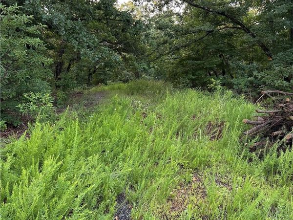 TBD Denver Lane , Bella Vista, AR 72714