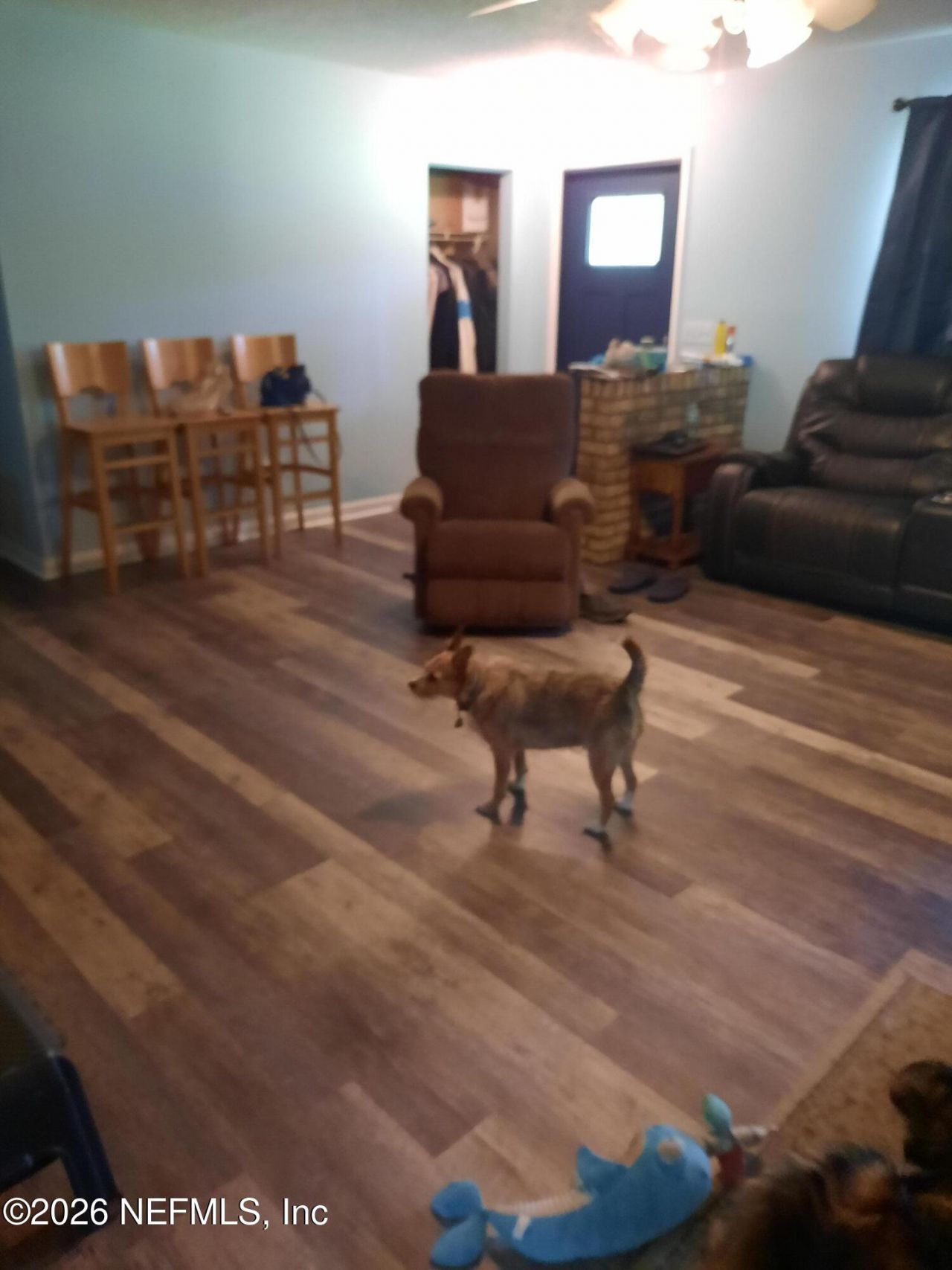 3249 Maryland Avenue, Green Cove Springs, FL 32043 Photo