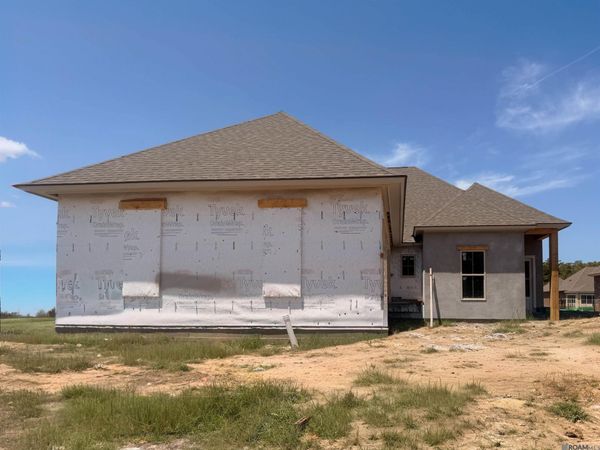 21425 Bluefin Dr, Springfield, LA 70462