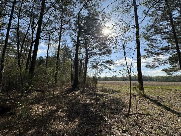 1.1+/- AC Snider Avenue, Other, AL 00000