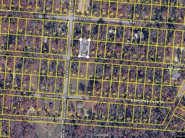 0 Crappie Lot 17 , Unit 17, Buchanan, TN 38222