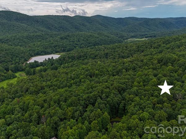 364 Big Bear Trail, Zirconia, NC 28790