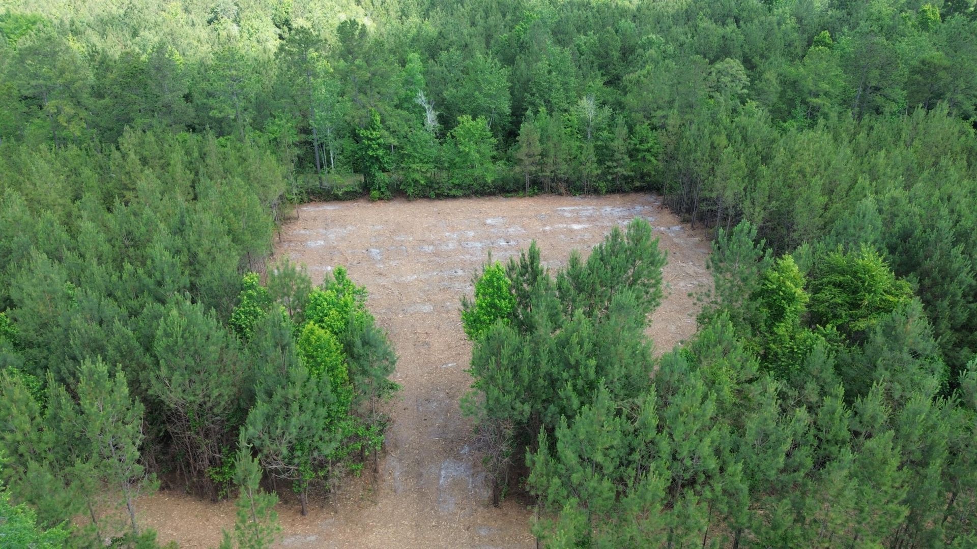 2 Highway 311 Photo 10