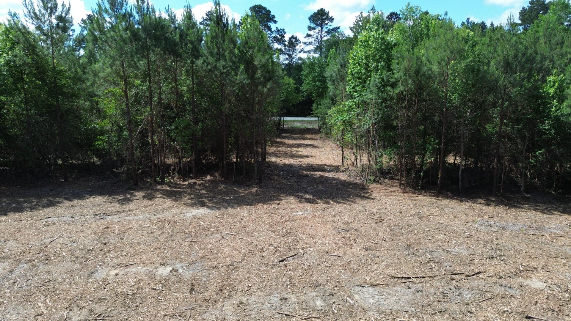 2 Highway 311 Photo 4