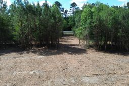 2 Highway 311 photo 4