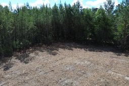2 Highway 311 photo 4