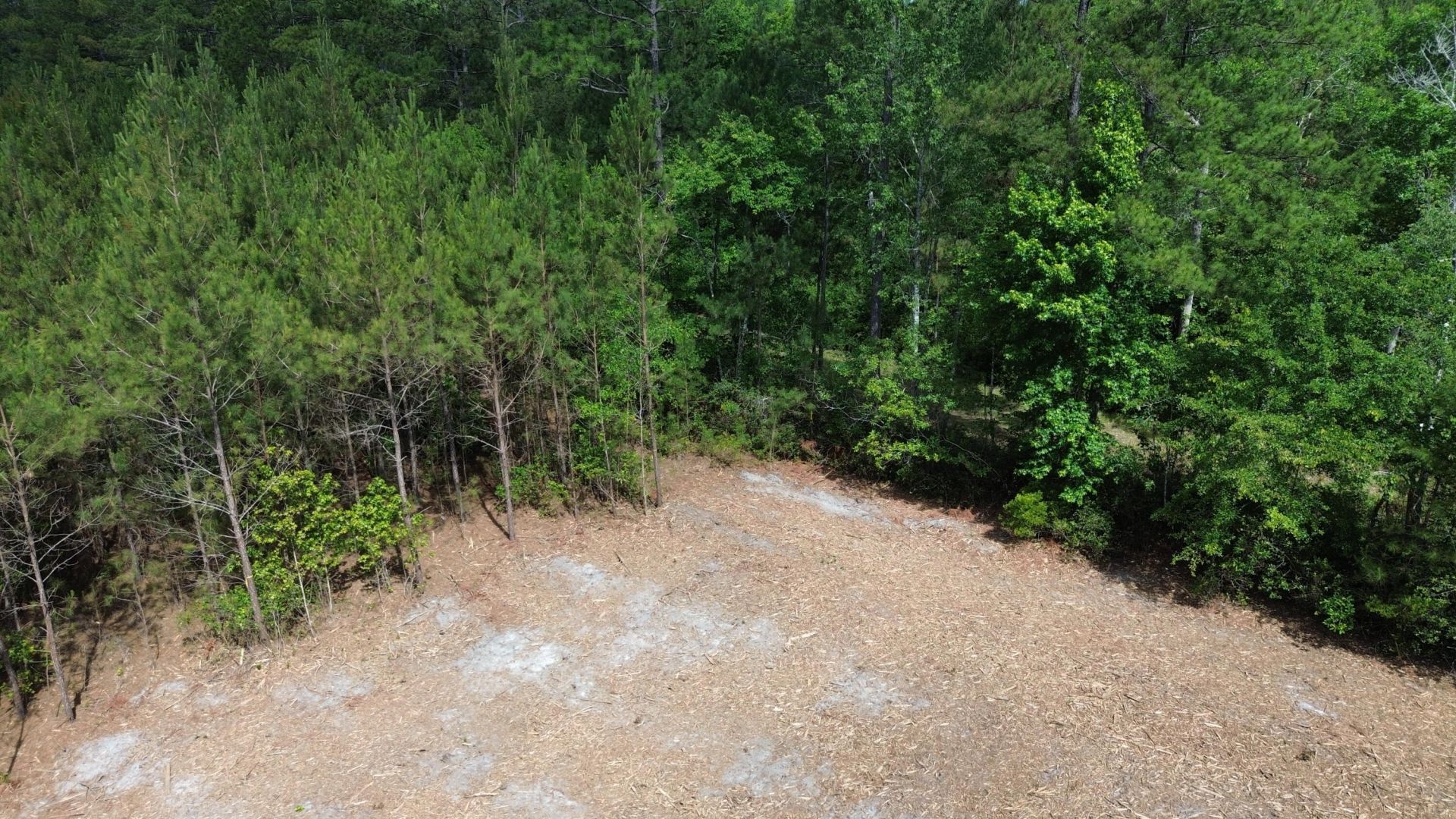 2 Highway 311 Photo 6