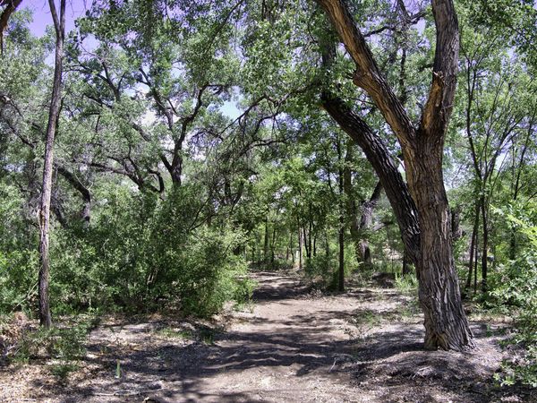 B1-B Lands of Mullens , Corrales, NM 87048