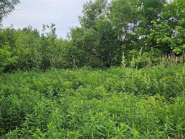 Lot C Windrose Lane, Hayward, WI 54843