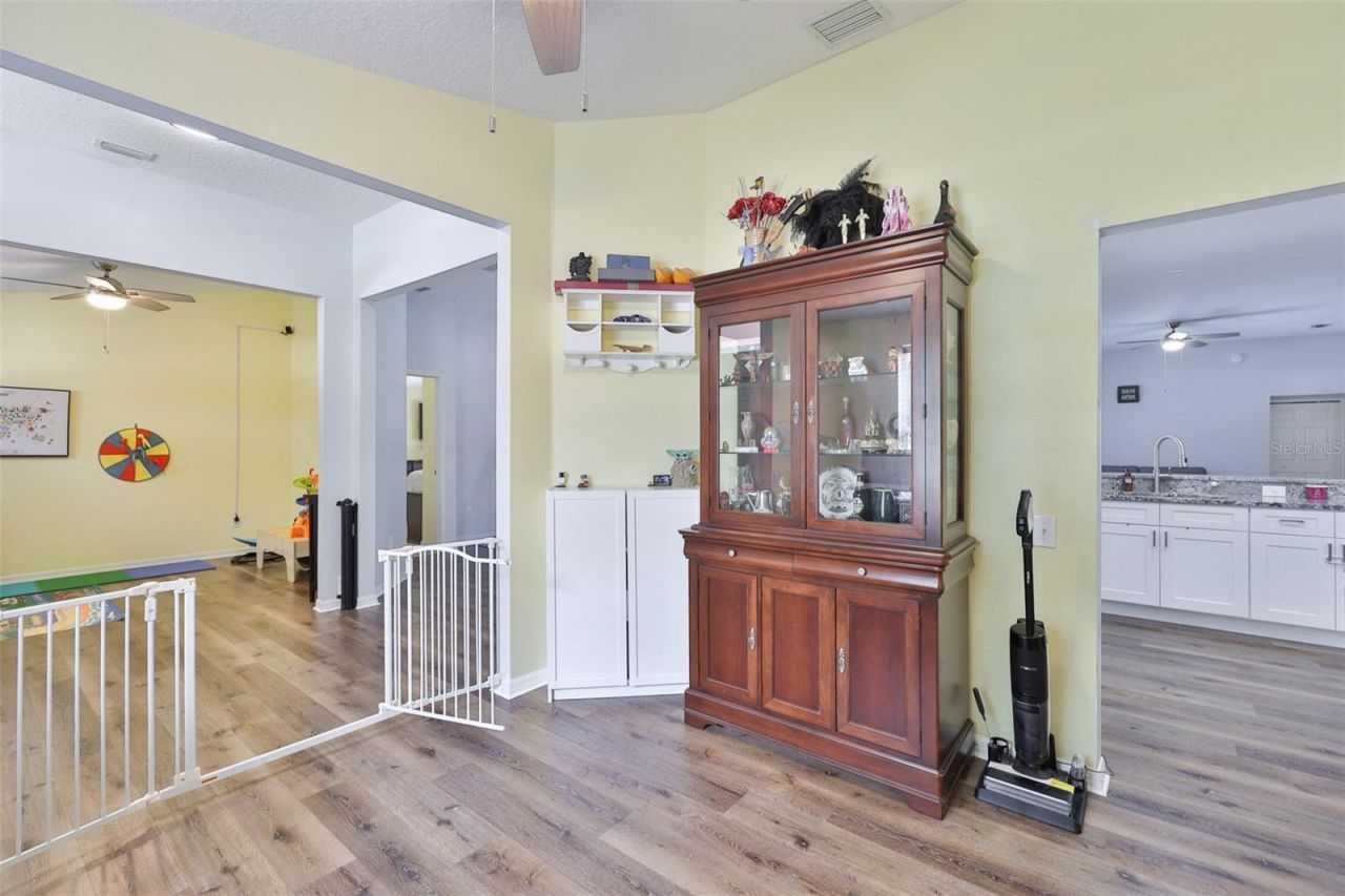 10234 Bloomfield Hills Drive , Seffner, FL 33584 Photo