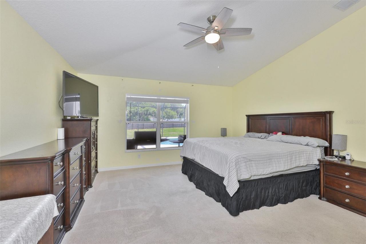 10234 Bloomfield Hills Drive , Seffner, FL 33584 Photo