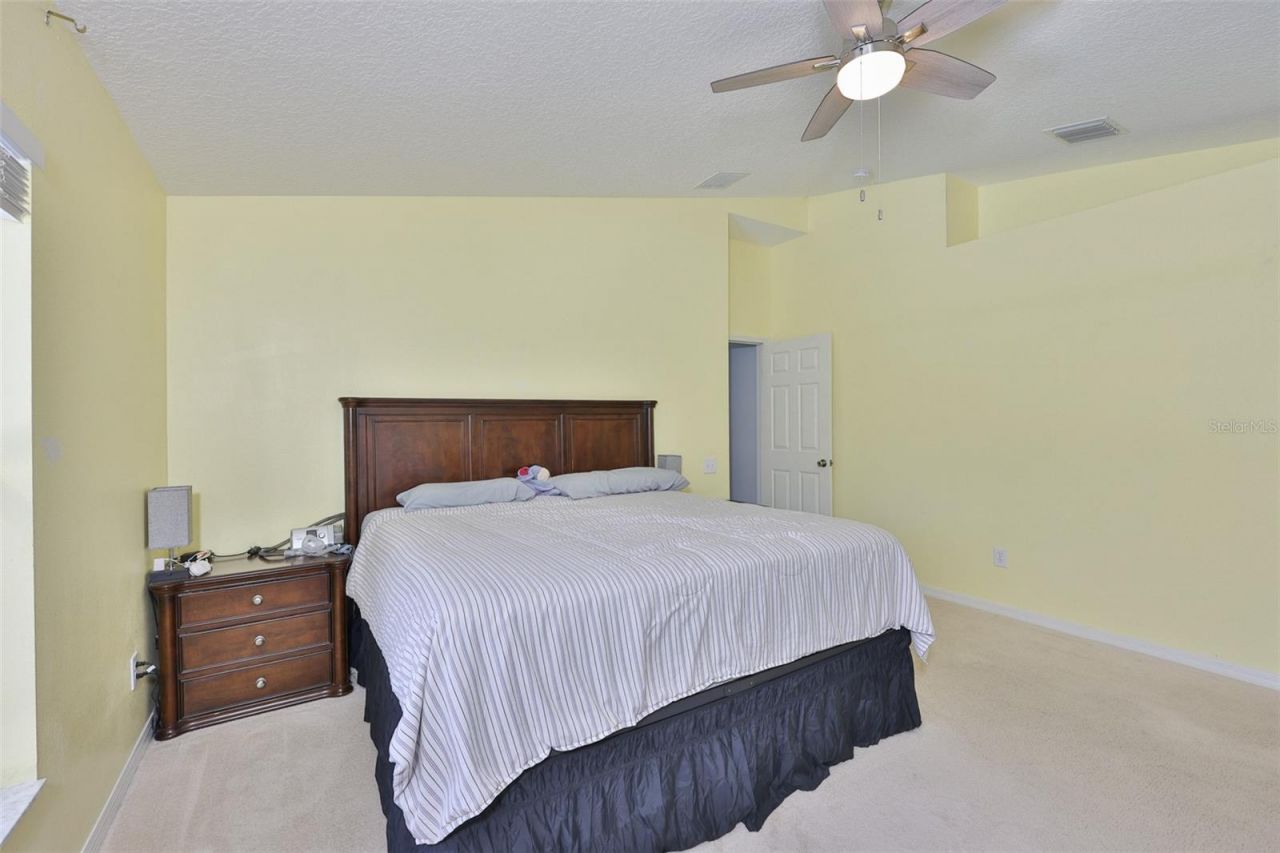 10234 Bloomfield Hills Drive , Seffner, FL 33584 Photo