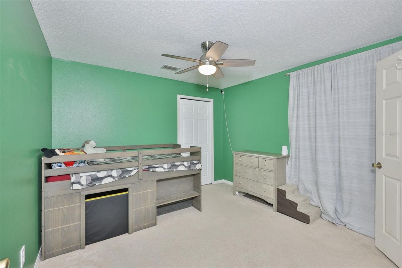 10234 Bloomfield Hills Drive , Seffner, FL 33584 Photo