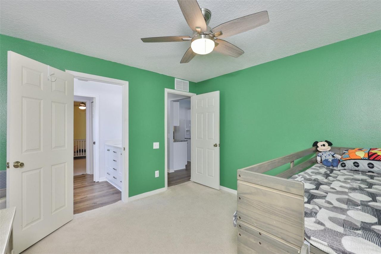 10234 Bloomfield Hills Drive , Seffner, FL 33584 Photo