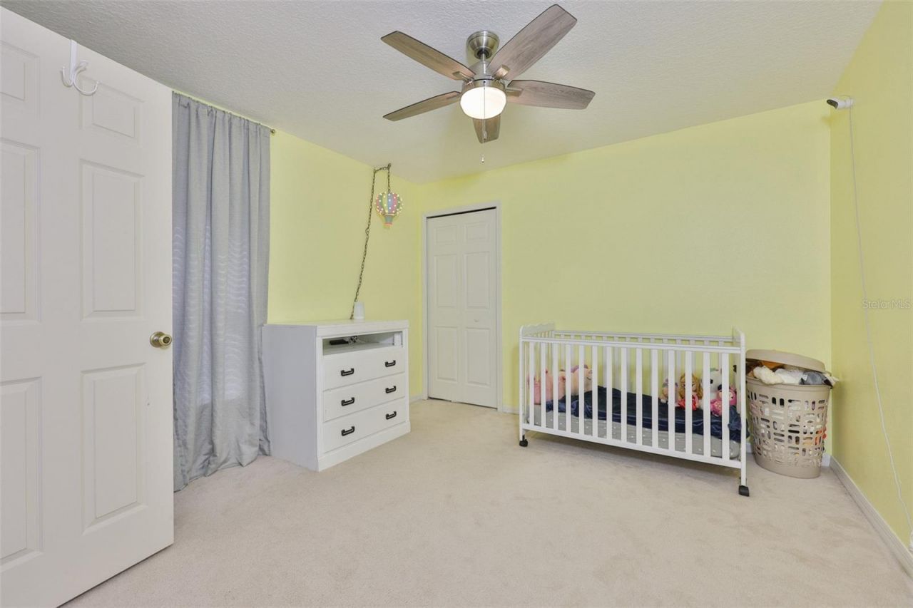 10234 Bloomfield Hills Drive , Seffner, FL 33584 Photo