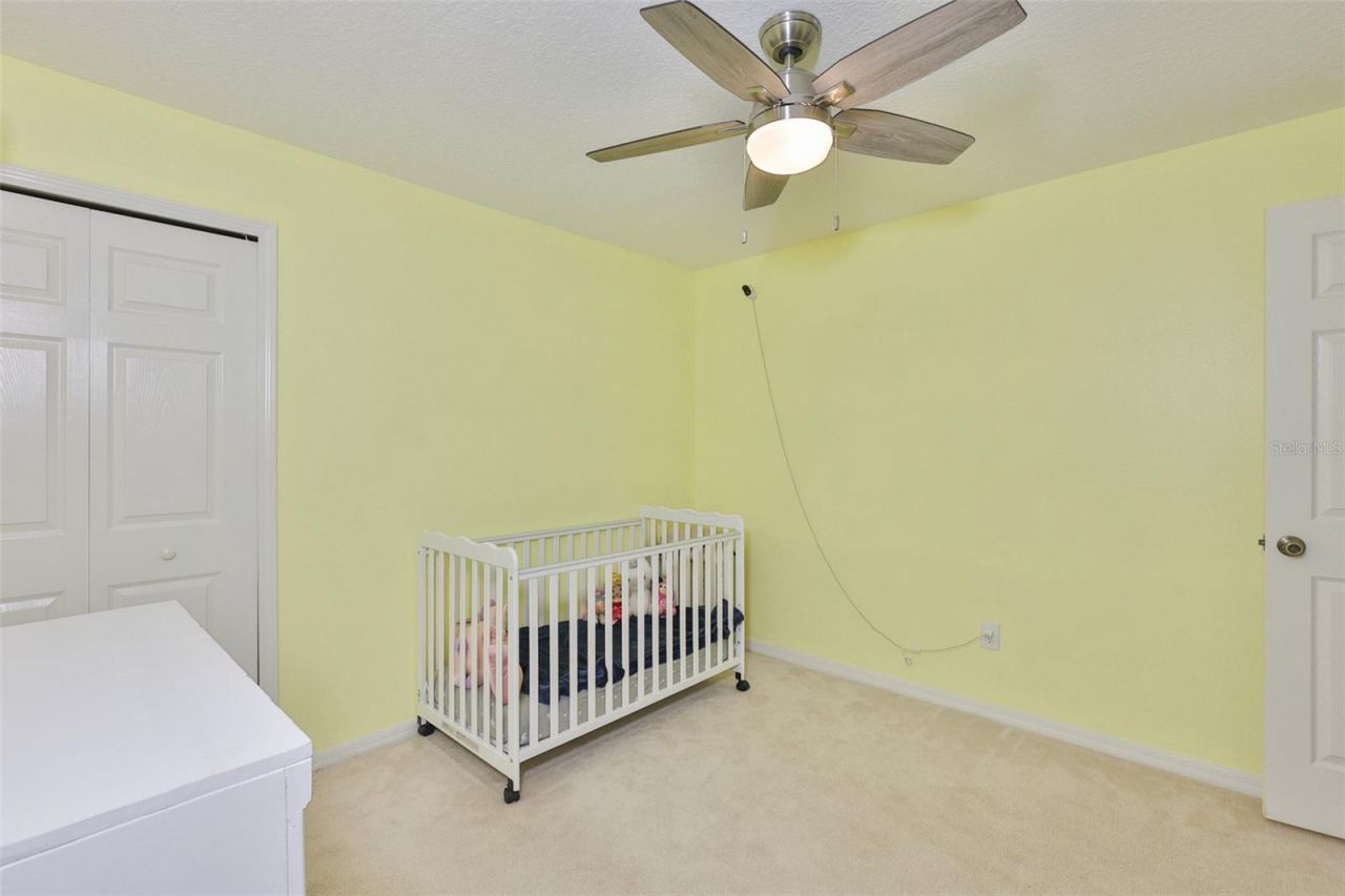 10234 Bloomfield Hills Drive , Seffner, FL 33584 Photo