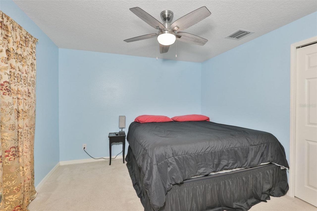 10234 Bloomfield Hills Drive , Seffner, FL 33584 Photo