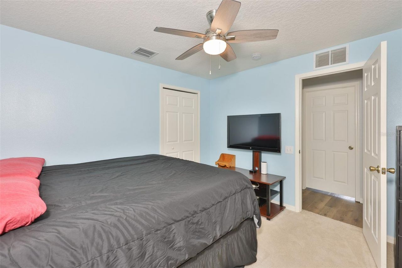 10234 Bloomfield Hills Drive , Seffner, FL 33584 Photo