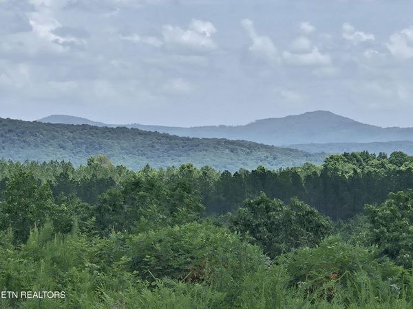 Owl Ridge Way , Sunbright, TN 37872