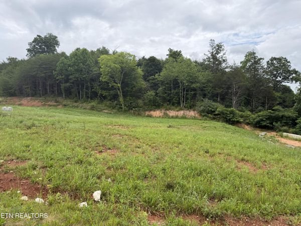 Bear Lane, Tellico Plains, TN 37385