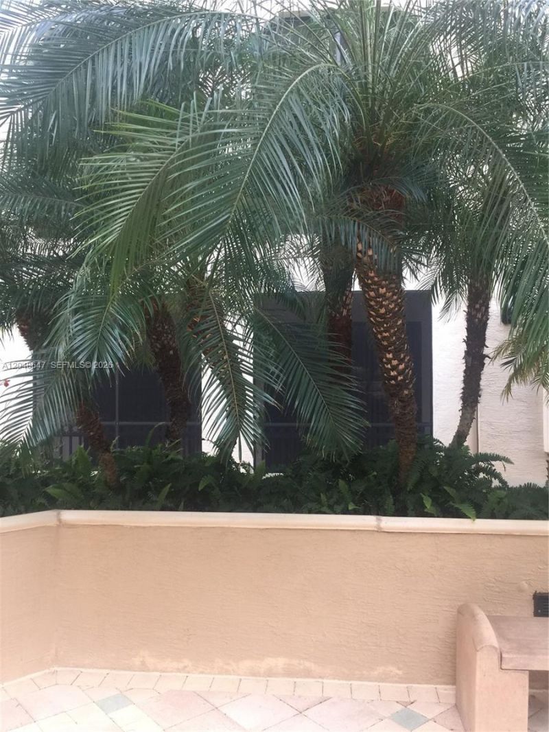 2900 NW 125th Ave , Unit 3-224, Sunrise, FL 33323 Photo