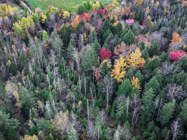 1021 Woods S Road, Warren, VT 05674