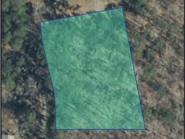0 LOT 13 PINE CIRCLE, Jasper, AL 35503