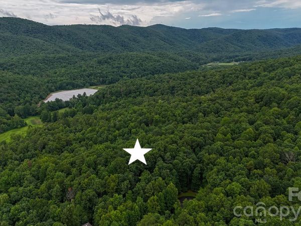 365 Big Bear Trail , Zirconia, NC 28790