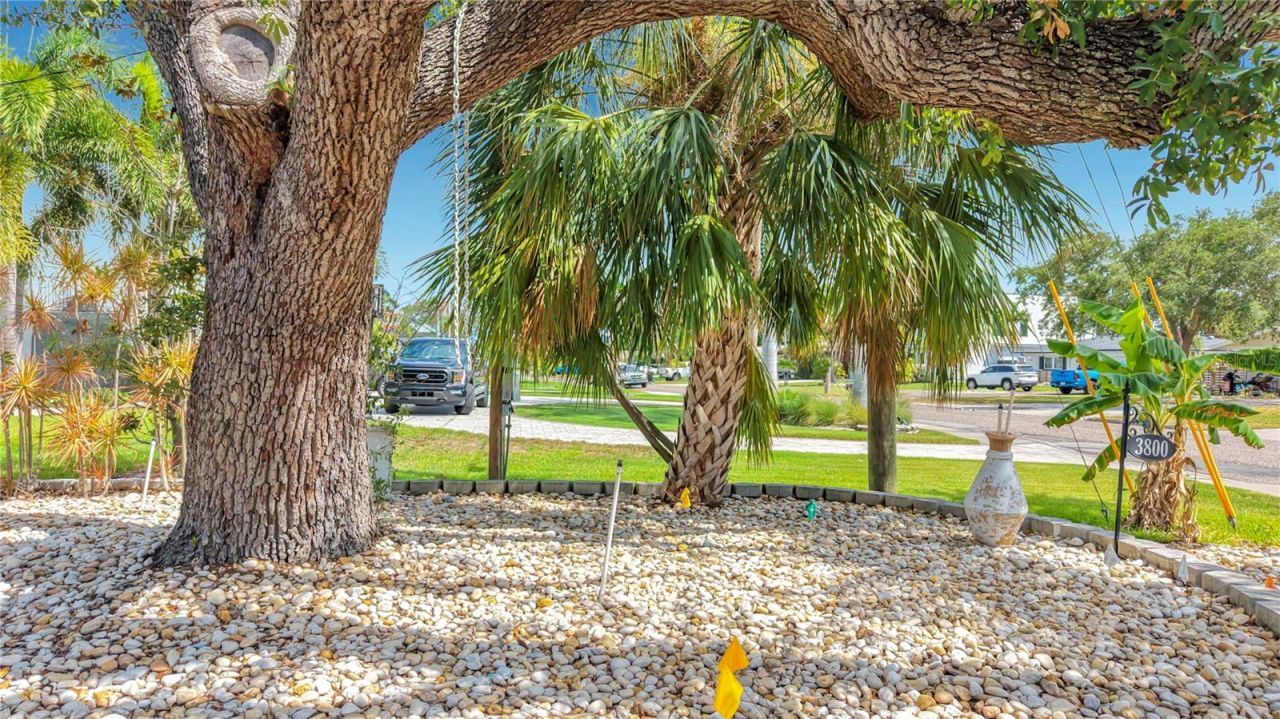 3800 Shore Acres Boulevard Ne, Saint Petersburg, FL 33703 Photo