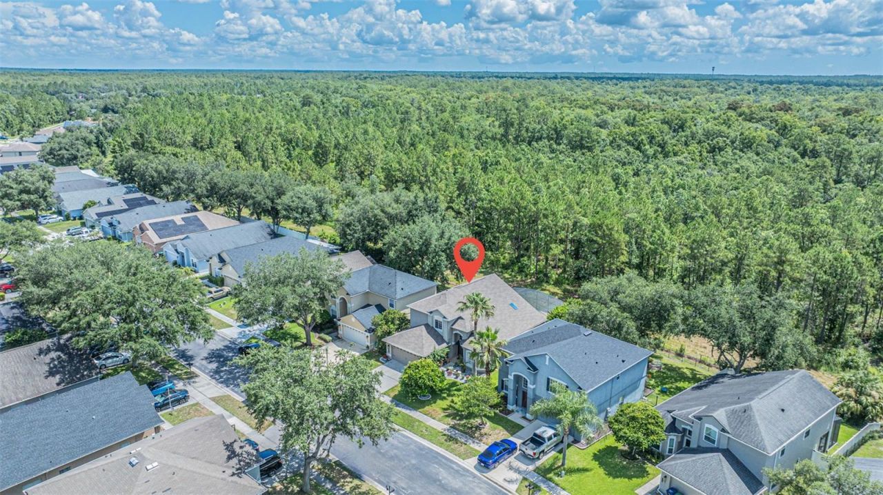 4315 Northern Dancer Way, Orlando, FL 32826 Photo