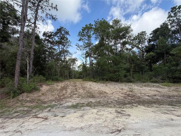 0 IDLEWOOD DRIVE , WEBSTER, FL 33597