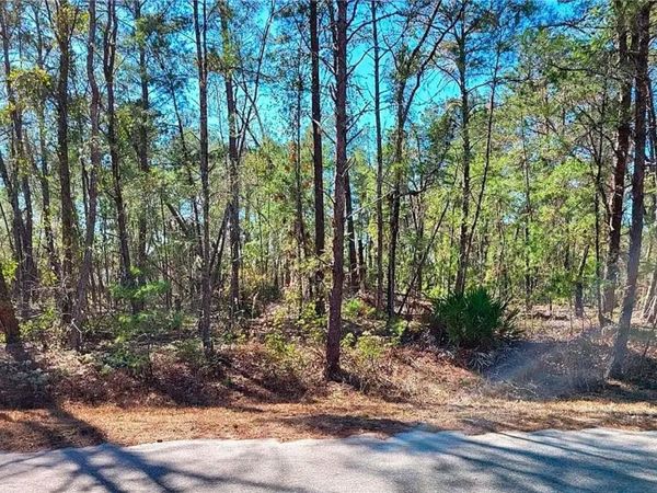 76 FISHER RUN TERRACE , OCKLAWAHA, FL 32179